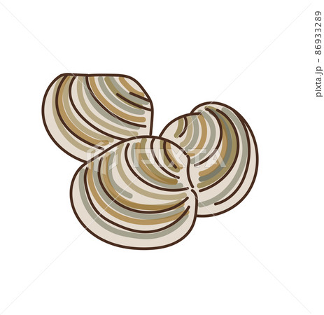 水産物　イラスト　しじみ　あさり 86933289