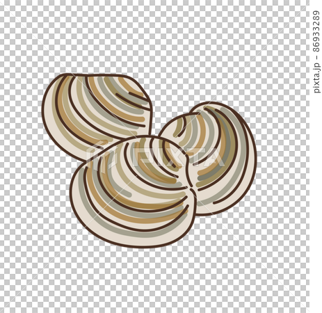 水産物　イラスト　しじみ　あさり 86933289