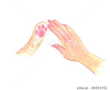 ハイファイブで猫と人の手のイラスト素材
