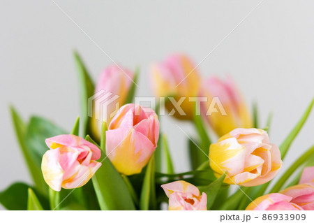 Bouquet of pink tulips close up Bouquet of pink tulips close up 86933909