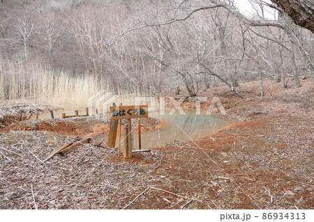 浅間山 追分宿から登る、石尊山ハイキング道 おはぐろ池 2016年4月 浅間山 追分宿から登る、石尊山ハイキング道 おはぐろ池 2016年4月 86934313