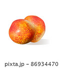 realistic ripe nectarines fruit on white background 86934470