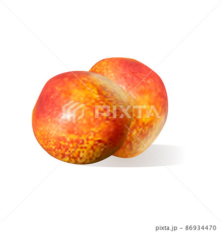 realistic ripe nectarines fruit on white background realistic ripe nectarines fruit on white background 86934470