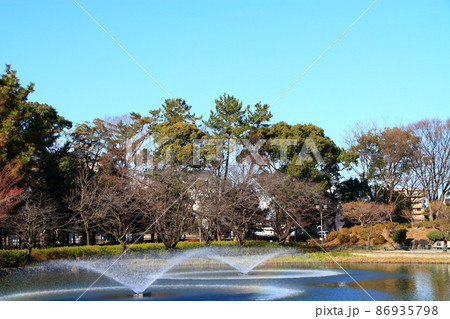 名古屋市、名城公園御深井池の風景 名古屋市、名城公園御深井池の風景 86935798