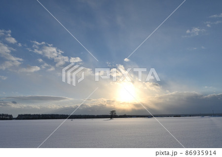 夕暮れの北海道冬景色 86935914