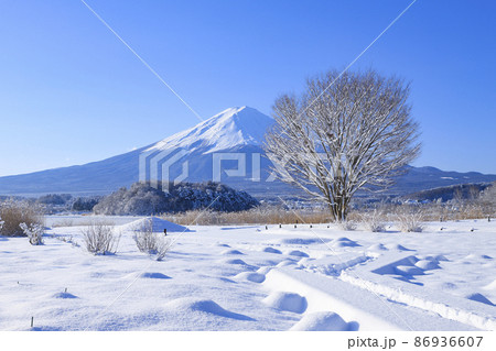 雪景色の大石公園　河口湖 86936607