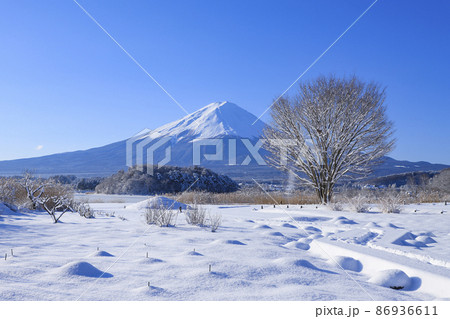 雪景色の大石公園 河口湖 雪景色の大石公園 河口湖 86936611