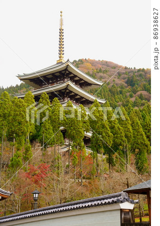 越前大仏/大師山清大寺 五重塔(福井県勝山市) 越前大仏/大師山清大寺 五重塔(福井県勝山市) 86938627