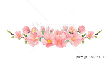 Watercolor sakura blossom illustration on isolated white background. Cherry blossom clip-art Watercolor sakura blossom illustration on isolated white background. Cherry blossom clip-art 86941249
