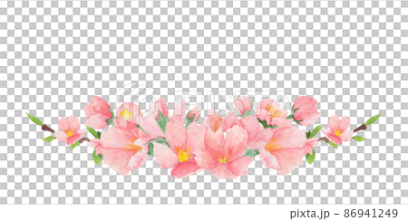 Watercolor sakura blossom illustration on isolated white background. Cherry blossom clip-art Watercolor sakura blossom illustration on isolated white background. Cherry blossom clip-art 86941249