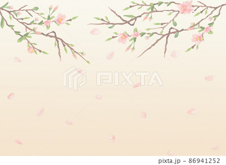 Watercolor sakura blossom illustration. Cherry blossom message paper, message blank Watercolor sakura blossom illustration. Cherry blossom message paper, message blank 86941252