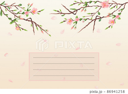 Watercolor sakura blossom illustration on lined place for text. Cherry blossom message card 86941258