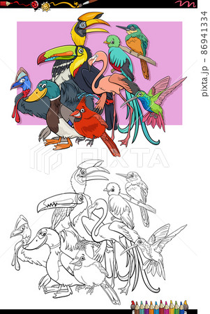 cartoon birds animal characters group coloring book page 86941334