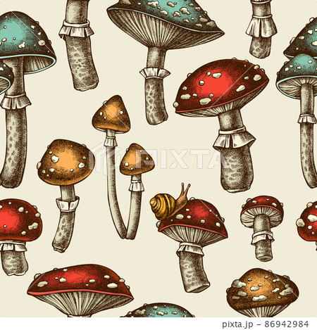Forest Mushrooms Seamless Pattern Background のイラスト素材