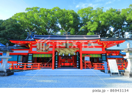【和歌山県】快晴下の熊野速玉大社（熊野稲荷神社）拝殿 86943134