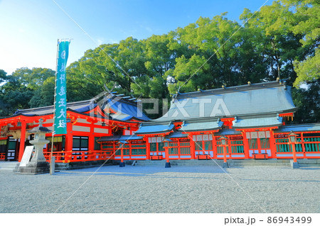 【和歌山県】快晴下の熊野速玉大社（熊野稲荷神社）上三殿 86943499
