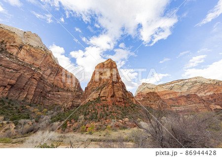 Daytime view of the famous Zion National Park Daytime view of the famous Zion National Park 86944428