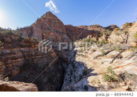 Daytime view of the famous Zion National Park Daytime view of the famous Zion National Park 86944442