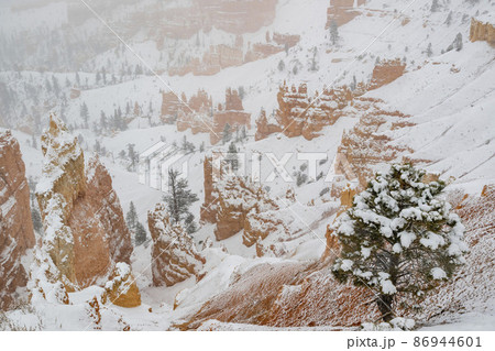 Superb view of Sunset Point of Bryce Canyon National Park 86944601