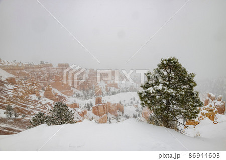 Superb view of Sunset Point of Bryce Canyon National Park Superb view of Sunset Point of Bryce Canyon National Park 86944603