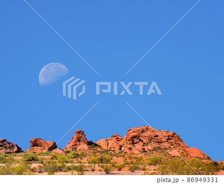 Sonora Desert Moon 86949331