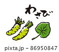 手描き　わさび　イラスト　筆 86950847