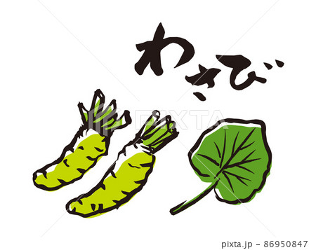 手描き わさび イラスト 筆のイラスト素材 [86950847] - PIXTA