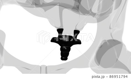 Human Skeleton Vertebral Column Coccyx or tail bone Anatomy Human Skeleton Vertebral Column Coccyx or tail bone Anatomy 86951794