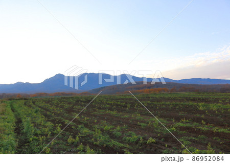 麗しき八ヶ岳　　　　夕暮れの野辺山高原 86952084