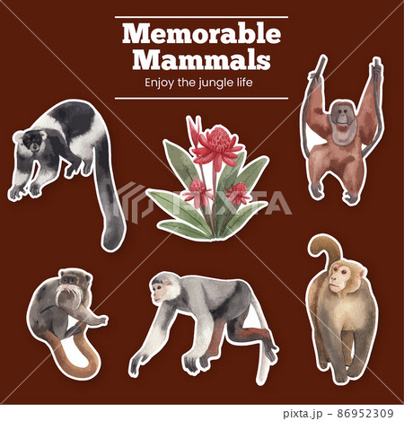 Sticker template with monkey in the jungle concept,watercolor style Sticker template with monkey in the jungle concept,watercolor style 86952309