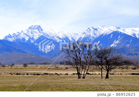 麗しき八ヶ岳 冠雪の八ヶ岳 麗しき八ヶ岳 冠雪の八ヶ岳 86952625