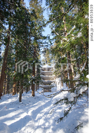 森の中　圧倒的存在感の羽黒山五重塔　冬景色　山形県 86953639