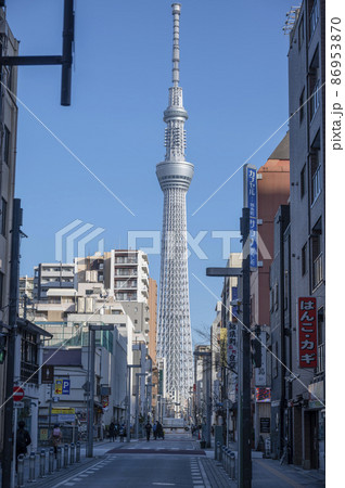 錦糸町タワービュー通り 錦糸町タワービュー通り 86953870