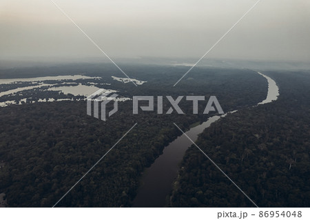 Amazon jungle. Amazon jungle. 86954048