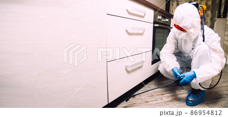 An exterminator in work clothes sprays pesticides with a spray gun. Fight against insects in apartments and houses. Disinsection of the premises An exterminator in work clothes sprays pesticides with a spray gun. Fight against insects in apartments and houses. Disinsection of the premises 86954812