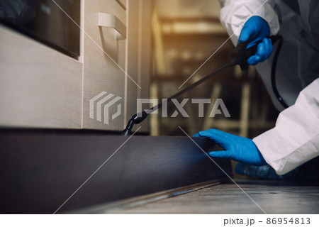 An exterminator in work clothes sprays pesticides with a spray gun. Fight against insects in apartments and houses. Disinsection of the premises An exterminator in work clothes sprays pesticides with a spray gun. Fight against insects in apartments and houses. Disinsection of the premises 86954813