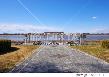 渡良瀬遊水地谷中湖・中の島 86954948