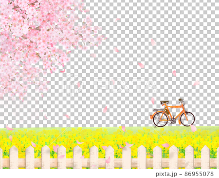 菜の花の咲く河川敷に自転車と美しく華やかな桜の花びら舞い散る春の風景白バックフレーム背景素材 86955078