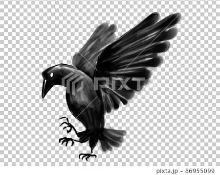 ヤタガラス 86955099