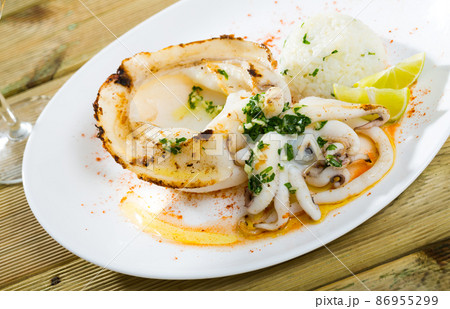 Fried cuttlefish served with rice Fried cuttlefish served with rice 86955299