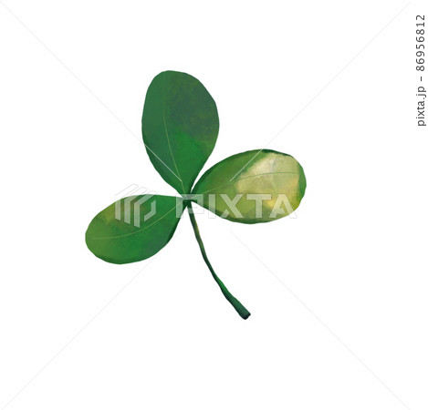 St. Patricks Day watercolor design elements set. St Patricks day ttraditional symbol set. 86956812