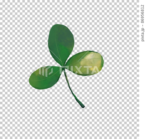 St. Patricks Day watercolor design elements set. St Patricks day ttraditional symbol set. 86956812