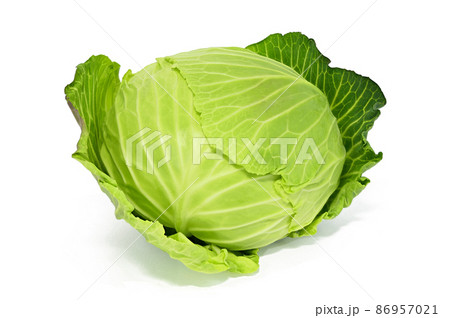 【キャベツ】 (深度合成) 86957021