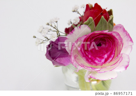 春の花ラナンキュラス 86957171
