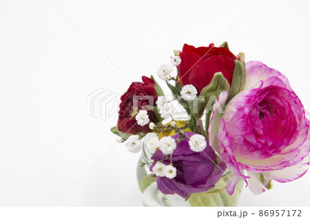 春の花ラナンキュラス 春の花ラナンキュラス 86957172