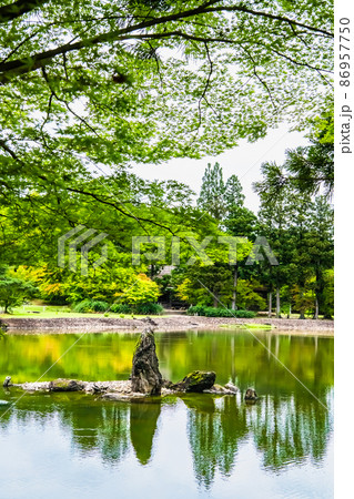 岩手県平泉町 毛越寺 ~大泉が池・池中立石~ 岩手県平泉町 毛越寺 ~大泉が池・池中立石~ 86957750