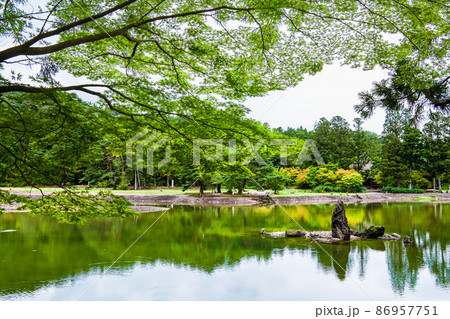 岩手県平泉町 毛越寺 ~大泉が池・池中立石~ 岩手県平泉町 毛越寺 ~大泉が池・池中立石~ 86957751