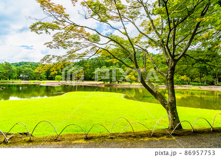 岩手県平泉町 毛越寺 ~大泉が池の州浜~ 岩手県平泉町 毛越寺 ~大泉が池の州浜~ 86957753