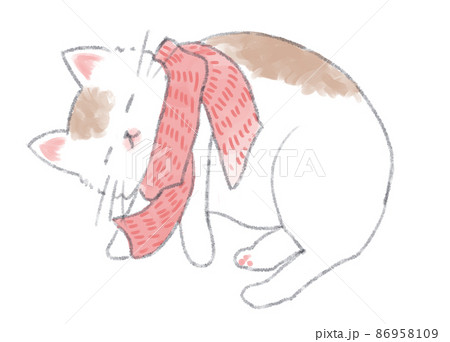 ピンクのマフラーをして気持ちよさそうに眠る猫 86958109