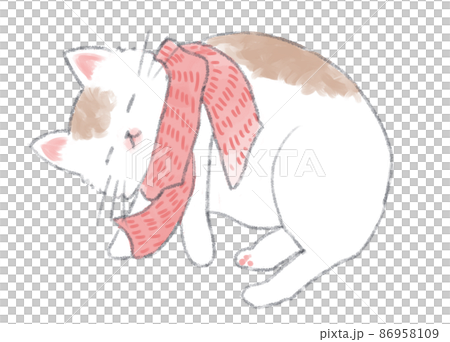 ピンクのマフラーをして気持ちよさそうに眠る猫 86958109